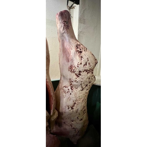 388 - ± Thomas Borthwick & Sons Butchers Beef Five whole sides average length 173cm - This lot will be sub... 