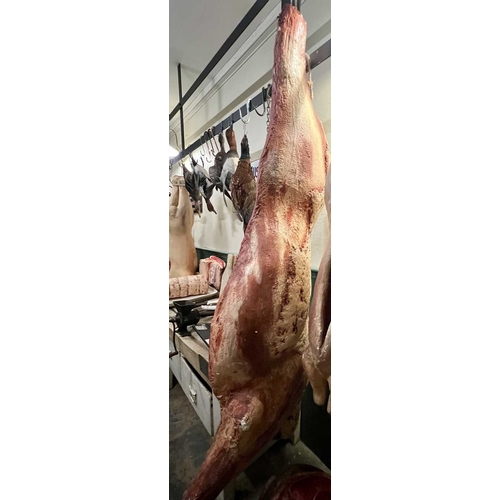 388 - ± Thomas Borthwick & Sons Butchers Beef Five whole sides average length 173cm - This lot will be sub... 