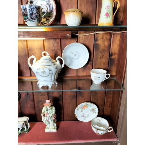 557 - ± B. Davis China & Glass The contents of the shop window A collection of pottery and porcelain to in... 