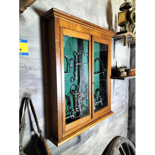 777 - ± Flambards Hotel and Coach House Display case with horse bits,stirrups etc An oak wall hanging disp... 