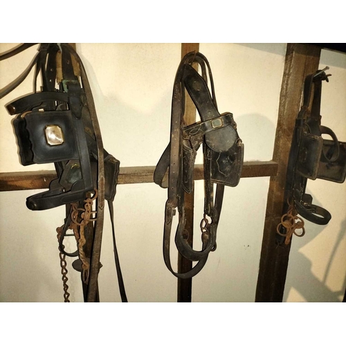 781 - ± Flambards Hotel and Coach House Leather horse tack collection All the leather horse tack hanging f... 