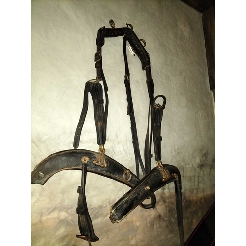 781 - ± Flambards Hotel and Coach House Leather horse tack collection All the leather horse tack hanging f... 