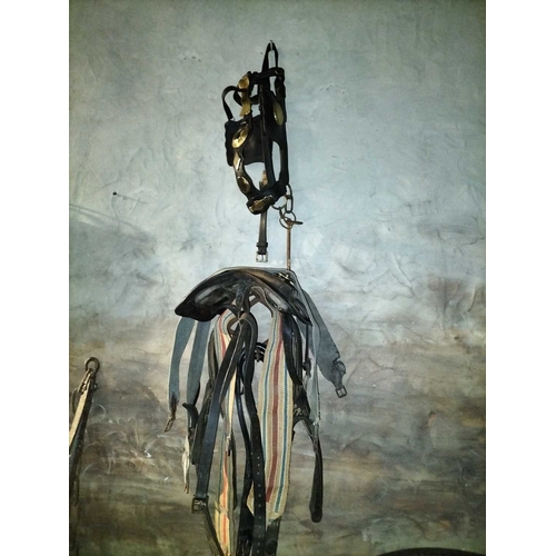 781 - ± Flambards Hotel and Coach House Leather horse tack collection All the leather horse tack hanging f... 