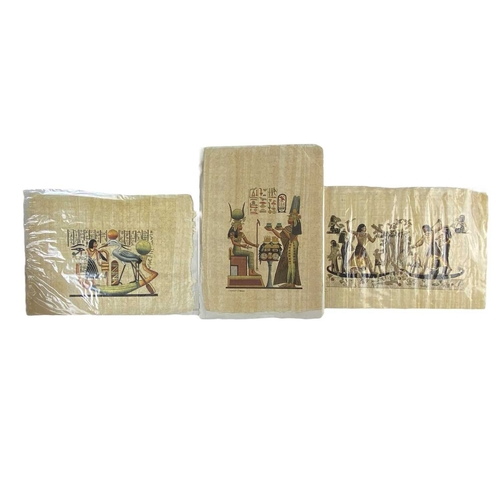 118 - A collection of 21 Egyptian papyrus paintings. Unframed, some with signature or inscription, 34X45cm... 