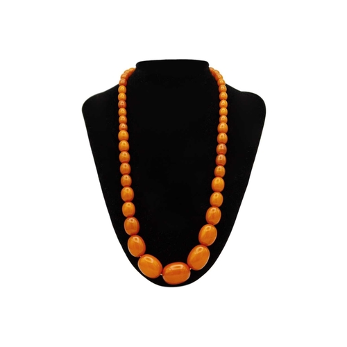 171 - A graduated butterscotch 'amber' style necklace. The oval beads are 8mm-23mm, forty-nine beads, scre... 