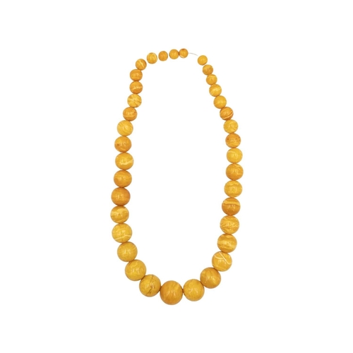 33 - A large butterscotch amber graduated bead necklace. Spherical beads are 11mm-26mm in diameter, thirt... 