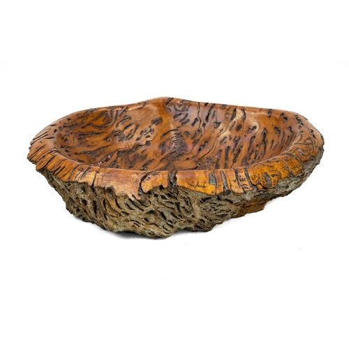 58 - A Tasmanian blue gum (Eucalyptus Globulus) wood bowl. Of naturalistic form, maximum width 44cm.