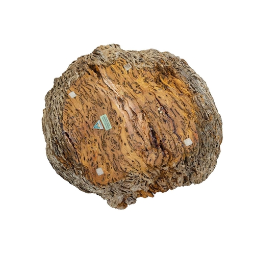 58 - A Tasmanian blue gum (Eucalyptus Globulus) wood bowl. Of naturalistic form, maximum width 44cm.