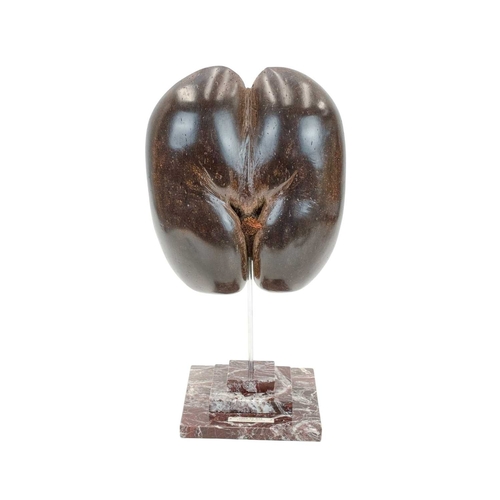 66 - A polished coco de mer. Bisected and mounted for display on a steel rod and a stepped marble base, h... 