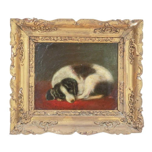 680 - English naive School, 19th century. Sleeping collie Oil on board, 18 x 21cm, framed 30 x 33cm.