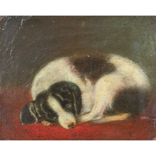 680 - English naive School, 19th century. Sleeping collie Oil on board, 18 x 21cm, framed 30 x 33cm.