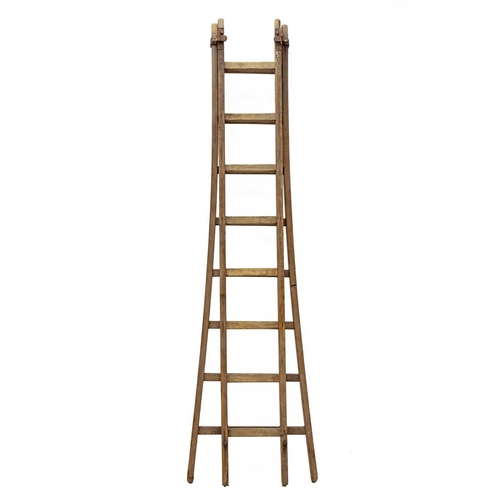 687 - A pine extending fruit picker's ladder. With a flared base and sixteen rungs, minimum height 232cm.