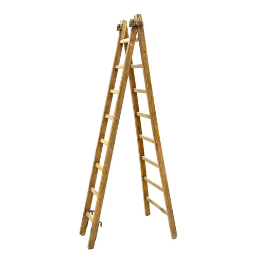 687 - A pine extending fruit picker's ladder. With a flared base and sixteen rungs, minimum height 232cm.