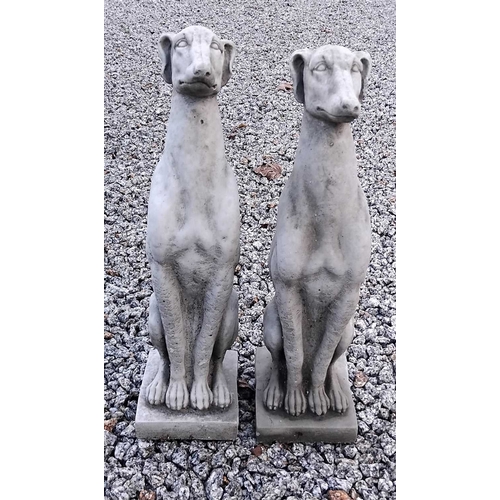 882 - A pair of reconstituted stone whippets. Raised on rectangular bases. Height 56cm, width 14.5cm, dept... 
