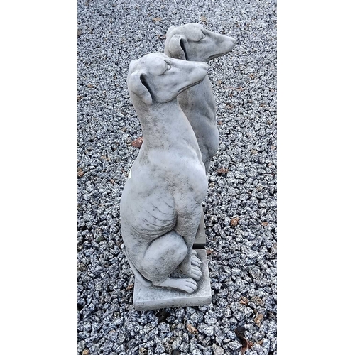 882 - A pair of reconstituted stone whippets. Raised on rectangular bases. Height 56cm, width 14.5cm, dept... 