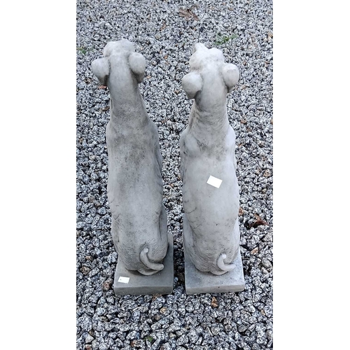 882 - A pair of reconstituted stone whippets. Raised on rectangular bases. Height 56cm, width 14.5cm, dept... 
