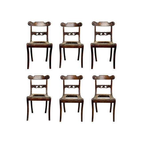 984 - A set of six Regency simulated rosewood dining chairs. With carved top and mid rails, drop-in seat f... 