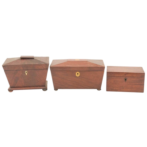 Lot 150       