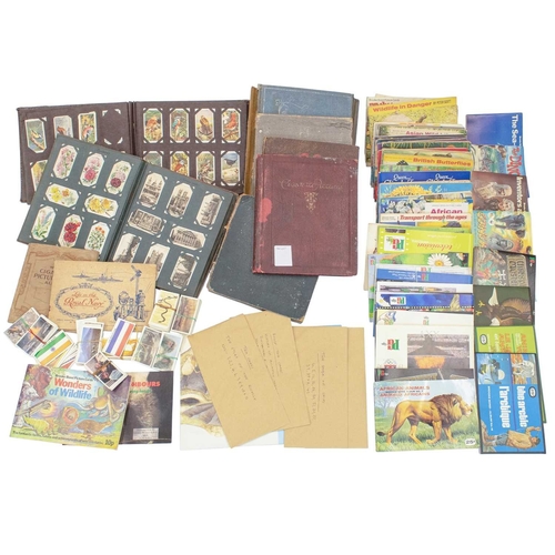Lot 282       