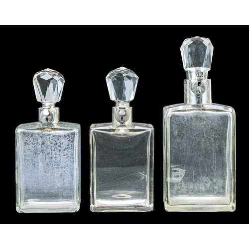 Lot 295       