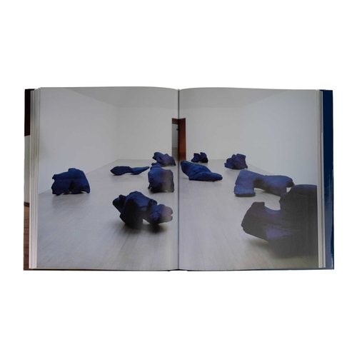 111 - (Modern Art) Twenty eight works Germano Celant. 'Anish Kapoor,' first edition, unclipped dj, illustr... 