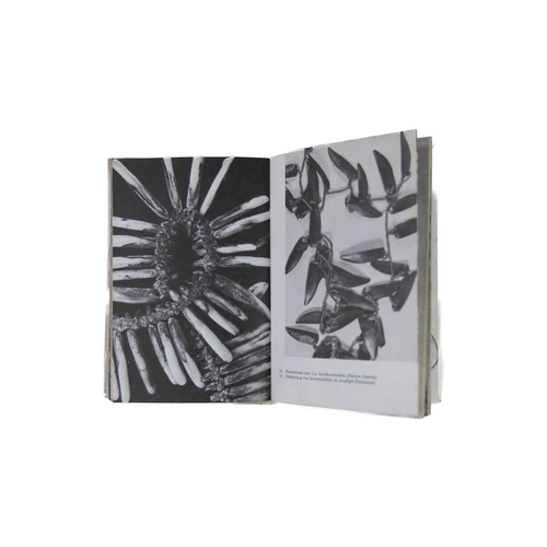 113 - (Traditional African Art and Primitive Art) Six works Susan M. Vogel. 'African Art Western Eyes,' fi... 