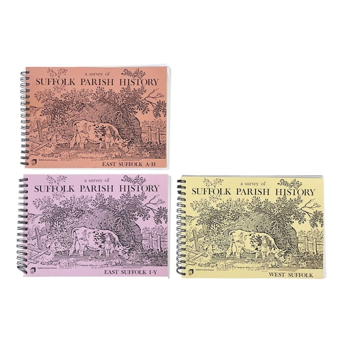 63 - (History) Thirty-one Works Includes Martin Biddle, 'King Arthur's Round Table', the Boydell Press, H... 