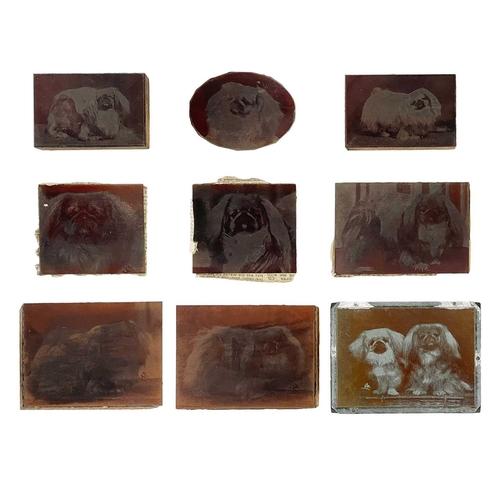 185 - (Pekingese) Elsa & Ellic Howe Pekingese Scrapbook With original yellow cloth, unclipped dj, profuse ... 