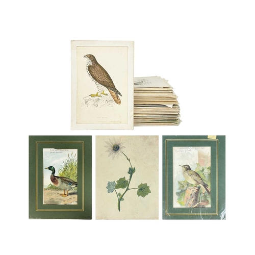 412 - (Ephemera) 'Seven or Fourteen Days in Ireland. On Friday, August 25th, 1871, A Cheap Excursion....Du... 