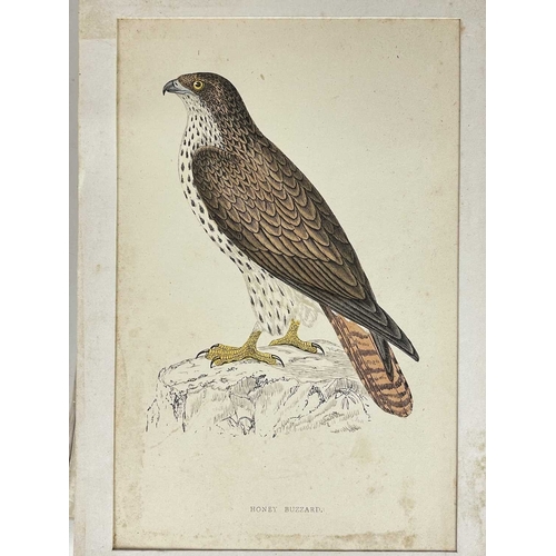 412 - (Ephemera) 'Seven or Fourteen Days in Ireland. On Friday, August 25th, 1871, A Cheap Excursion....Du... 