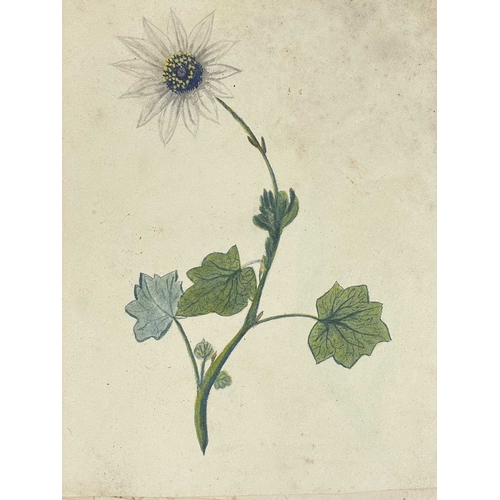 412 - (Ephemera) 'Seven or Fourteen Days in Ireland. On Friday, August 25th, 1871, A Cheap Excursion....Du... 