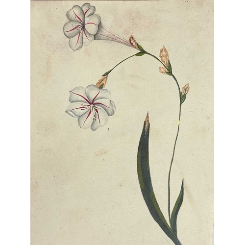 412 - (Ephemera) 'Seven or Fourteen Days in Ireland. On Friday, August 25th, 1871, A Cheap Excursion....Du... 