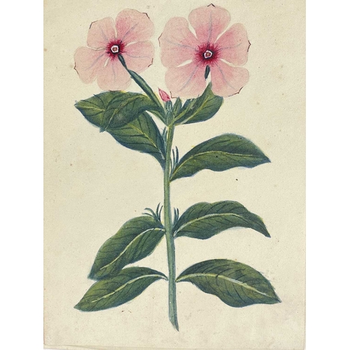 412 - (Ephemera) 'Seven or Fourteen Days in Ireland. On Friday, August 25th, 1871, A Cheap Excursion....Du... 