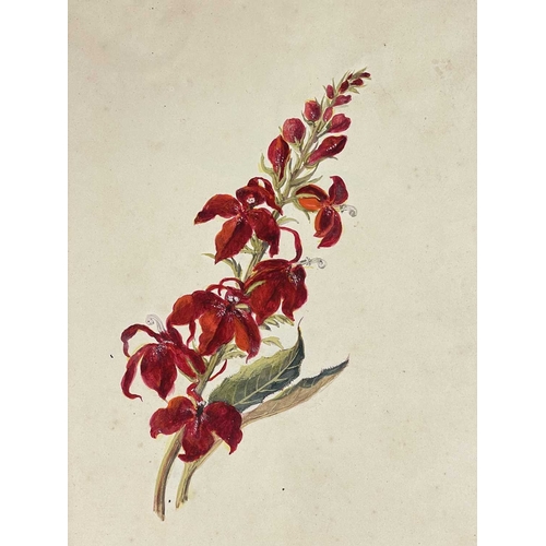 412 - (Ephemera) 'Seven or Fourteen Days in Ireland. On Friday, August 25th, 1871, A Cheap Excursion....Du... 