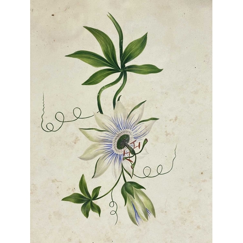 412 - (Ephemera) 'Seven or Fourteen Days in Ireland. On Friday, August 25th, 1871, A Cheap Excursion....Du... 