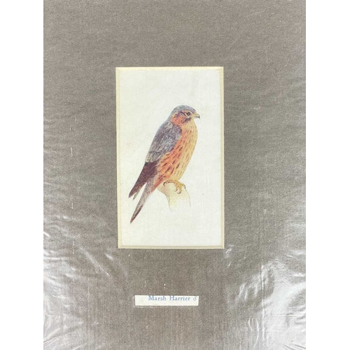 412 - (Ephemera) 'Seven or Fourteen Days in Ireland. On Friday, August 25th, 1871, A Cheap Excursion....Du... 