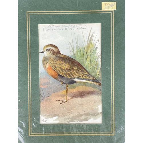 412 - (Ephemera) 'Seven or Fourteen Days in Ireland. On Friday, August 25th, 1871, A Cheap Excursion....Du... 