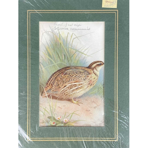 412 - (Ephemera) 'Seven or Fourteen Days in Ireland. On Friday, August 25th, 1871, A Cheap Excursion....Du... 