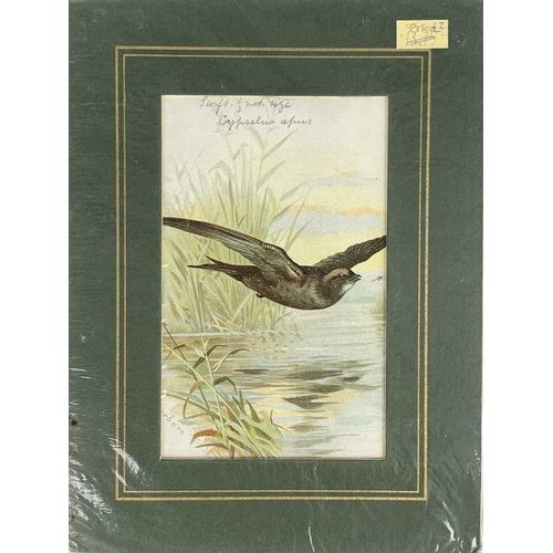 412 - (Ephemera) 'Seven or Fourteen Days in Ireland. On Friday, August 25th, 1871, A Cheap Excursion....Du... 