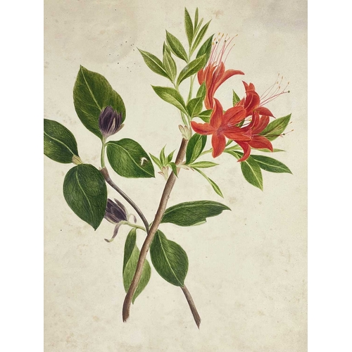 412 - (Ephemera) 'Seven or Fourteen Days in Ireland. On Friday, August 25th, 1871, A Cheap Excursion....Du... 