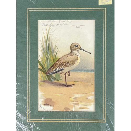 412 - (Ephemera) 'Seven or Fourteen Days in Ireland. On Friday, August 25th, 1871, A Cheap Excursion....Du... 