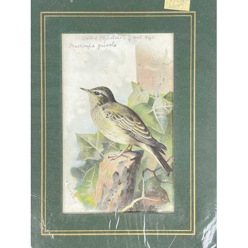 412 - (Ephemera) 'Seven or Fourteen Days in Ireland. On Friday, August 25th, 1871, A Cheap Excursion....Du... 