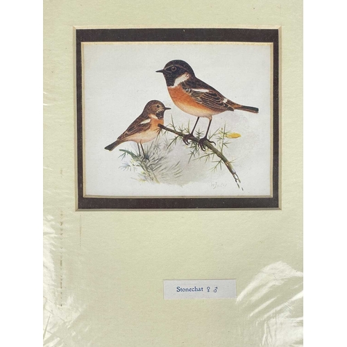 412 - (Ephemera) 'Seven or Fourteen Days in Ireland. On Friday, August 25th, 1871, A Cheap Excursion....Du... 