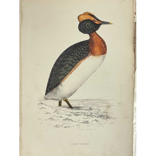 412 - (Ephemera) 'Seven or Fourteen Days in Ireland. On Friday, August 25th, 1871, A Cheap Excursion....Du... 