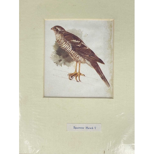 412 - (Ephemera) 'Seven or Fourteen Days in Ireland. On Friday, August 25th, 1871, A Cheap Excursion....Du... 