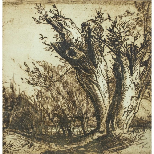 203 - § Frank BRANGWYN (1867-1956) Tree Study Etching on paper signed, plate 18cm x 18cm, framed 34cm x 33... 