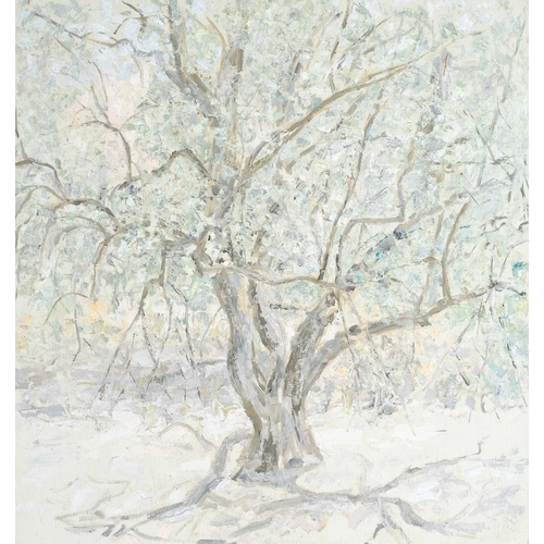 219 - § Paul ARMITAGE (XIX-XX) Olive Trees Oil on board, 52 x 49cm, 70 x 67cm framed.