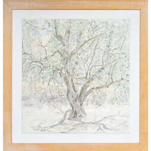 219 - § Paul ARMITAGE (XIX-XX) Olive Trees Oil on board, 52 x 49cm, 70 x 67cm framed.