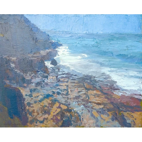 225 - § Neil PINKETT (1958) Sennen in the Distance Oil on board, signed, 40 x 51cm, 63 x 71cm framed Cornw... 