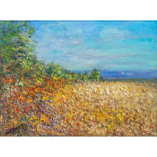 Lot 247       